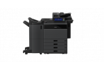 eS7527AC 4cst 1115 F wo shadow Kopie 1